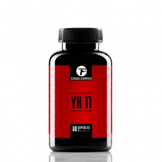 YK11