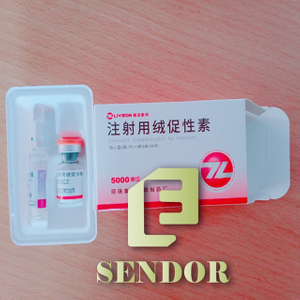 HCG